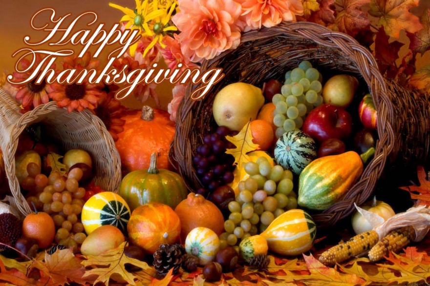 Thanksgiving: Dia de accion de gracias