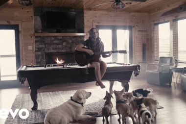 Tara Thompson - My Dogs Are Home